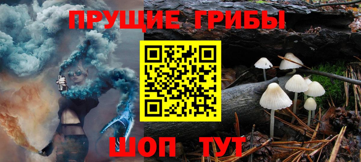 Галлюциногенные грибы MAGIC MUSHROOMS Канск